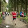 pferd-werkzeuge-lauf-06-2017 (654)