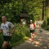 pferd-werkzeuge-lauf-06-2017 (260)