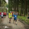 pferd-werkzeuge-lauf-06-2017 (682)