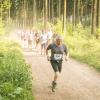 pferd-werkzeuge-lauf-06-2017 (381)