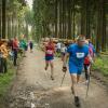 pferd-werkzeuge-lauf-06-2017 (625)