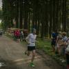 pferd-werkzeuge-lauf-06-2017 (668)